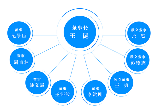 公司董事结构1.jpg